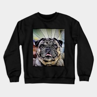 Hypnotic Gaze - Pug Dog Crewneck Sweatshirt